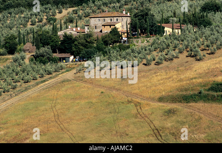 In der Nähe von Castellina in Chianti Häuser und Weinbergen Stockfoto