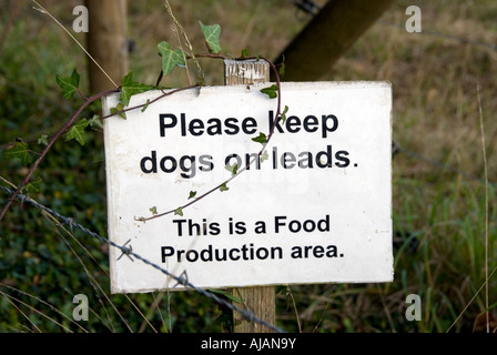 Schild Warnung Hunde gehalten werden, auf führt als Eingabe eines Lebensmittel-Produktion-Bereich Stockfoto