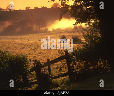 Am frühen Morgennebel und Nebel verweilt im Tal des Flusses Gowy in der Nähe von Bunbury Cheshire England UK Stockfoto