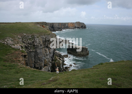 Blick nach Osten von St Govans Kopf, Pembrokeshire Stockfoto