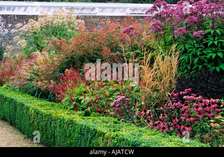 Rahmenlinien außen Hedge September krautige grenzt Hecke Buchsbaumhecken Stockfoto