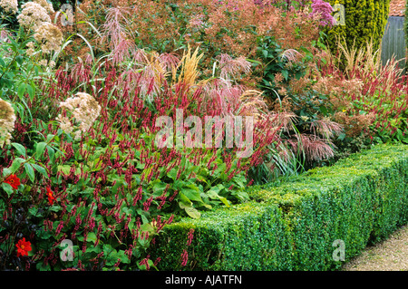 Hedge September krautige Rahmenlinien außen 2 Stockfoto