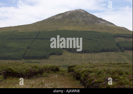 Mackoght Berg im Bereich Derryveagh mit Nadelbaum Waldgebiet auf Pisten und Torfmoor Stockfoto