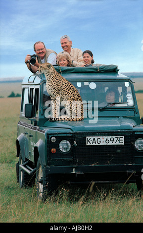 Weibliche Geparden sitzt auf der Motorhaube von einem Landrover Masai Mara National Reserve Kenia in Ostafrika Stockfoto