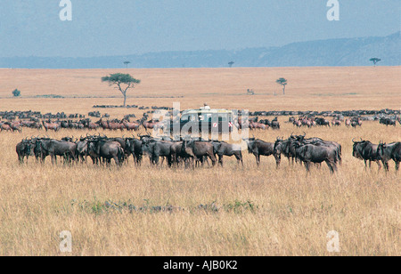 Toyota Landcruiser auf eine Pirschfahrt durch die riesigen Herden von Gnus und Topi Beweidung in der Masai Mara National Reserve Kenya Stockfoto