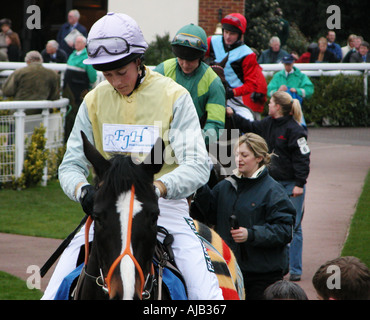 Pferde und Jockeys in den Parade-Ring vor dem Rennen Stockfoto