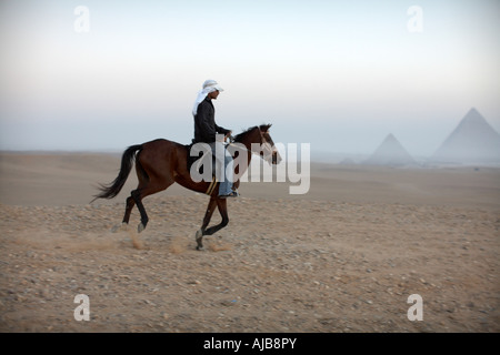 Pferd Reiter Guide Reiten in der Steinwüste im frühen Morgengrauen dunstigen Morgennebel in Gizeh Kairo Ägypten Afrika Stockfoto