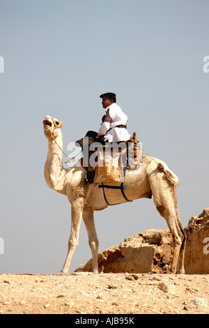 Ägyptische Touristen Polizei Polizist sitzt auf einem Kamel Bewachung Pyramiden komplexe Gizeh Kairo Ägypten Afrika Stockfoto