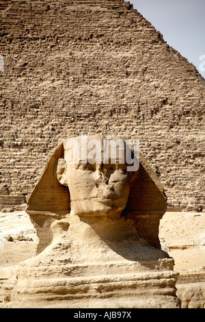 Die Sphinx mit Pyramide von Khafre Chefren-Gizeh-Cairo-Ägypten-Afrika Stockfoto