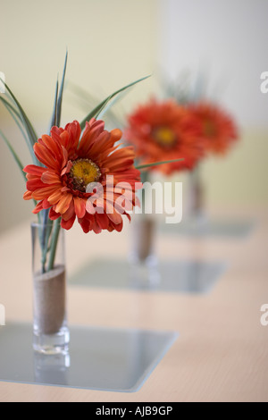 Abstrakte Bilder von roten Nelke Blumen in Vasen mit geringen Schärfentiefe Stockfoto