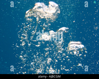 Unterwasser Tauchen Bild von Luftblasen im Roten Meer am Tauchplatz Canyon in der Nähe von Dahab Sinai Ägypten Stockfoto