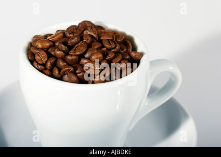 Geröstete Kaffeebohnen in weiße Tasse Stockfoto