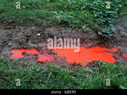 Pool von roter Farbe im Feld Stockfoto