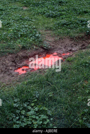 Pool von roter Farbe im Feld Stockfoto