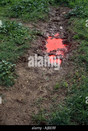 Pool von roter Farbe im Feld Stockfoto