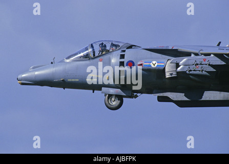 BAE Systeme Harrier GR7 der Royal Air Force Stockfoto