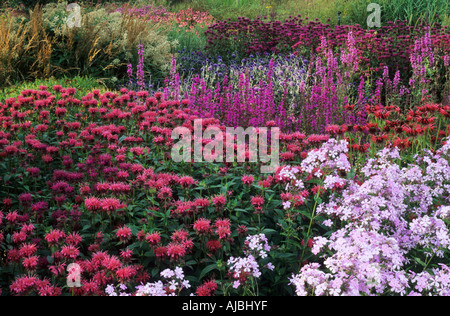 Pensthorpe Millennium Garten Norfolk Monarda 'Balance' Phlox Paniculata Lythrum Designer Piet Oudolf, East Anglia, England, UK Stockfoto