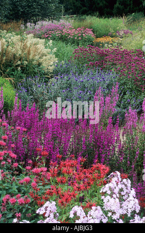 Pensthorpe Millennium Garten Norfolk Phlox Monarda Echinops Gräser Designer Piet Oudolf Stockfoto