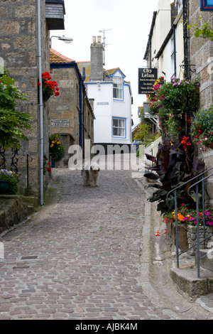 Blick hinauf gepflasterte Gasse in Cornwall mit altenglischer Schäferhund Stockfoto