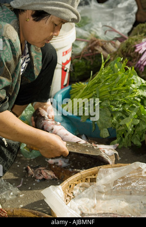 Kambodscha Phnom Penh Frau verkaufen Fische im traditionellen Outdoor-Markt Stockfoto