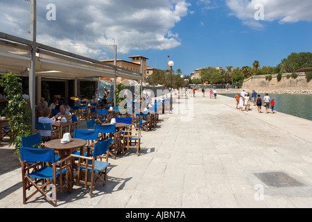 Restaurant gegenüber der Kathedrale auf der Parc De La Mar, historische Innenstadt, Palma, Mallorca, Spanien Stockfoto