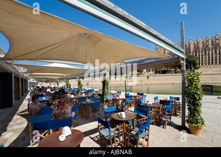 Restaurant gegenüber der Kathedrale auf der Parc De La Mar, historische Innenstadt, Palma, Mallorca, Spanien Stockfoto