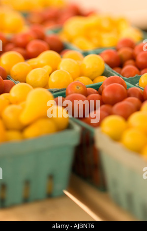 Cherry-Tomaten auf dem Bauernmarkt Stockfoto