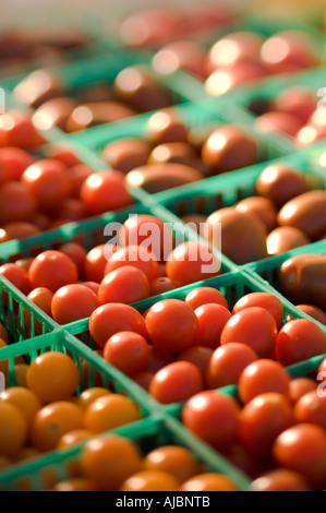 Cherry-Tomaten auf dem Bauernmarkt Stockfoto