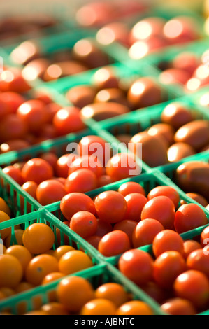 Cherry-Tomaten auf dem Bauernmarkt Stockfoto