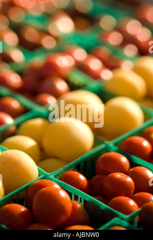 Cherry-Tomaten auf dem Bauernmarkt Stockfoto