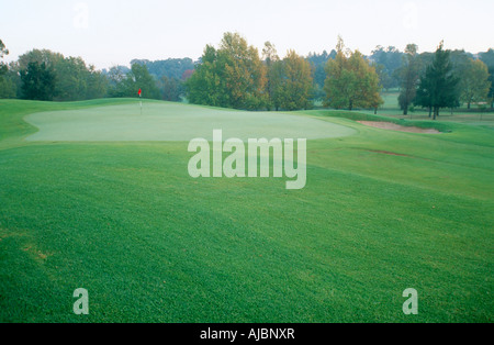 Große Gruppe von Kap Geier (abgeschottet Coprotheres) fliegen Stockfoto