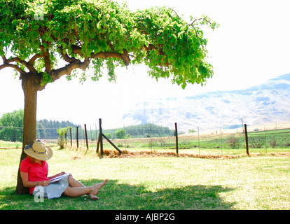 Frauen sitzen & lesen im Schatten des Baumes Stockfoto