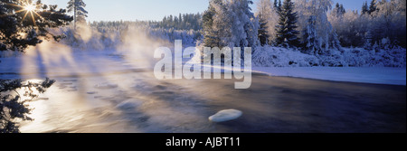 Dal-Fluss fließt vorbei an frost beladenen Bäume in Schweden in niedrigen Wintertemperaturen Licht Stockfoto