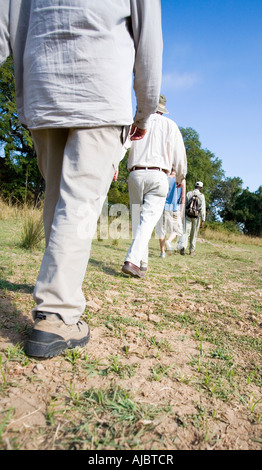 Touristen auf einem geführten Wildlife-Spaziergang - niedrigen Winkel Rückansicht Stockfoto