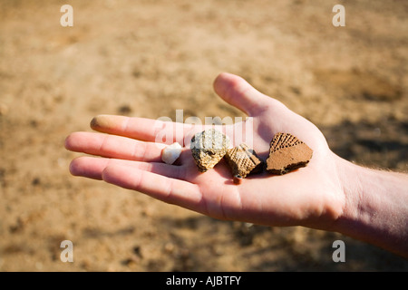 Quarz; Glimmer und Tontopf Reste Stockfoto