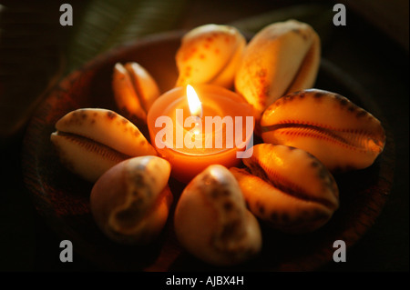 Kerze, umgeben von Muscheln Stockfoto