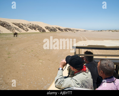 Touristen auf einer Wüstensafari anzeigen ein einsamer Elefant (Loxodonta Africana) Stockfoto