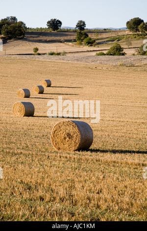 Hay rollt in einem Feld Stockfoto