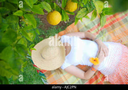 Junge Frau schlafen unter einem Zitronenbaum Stockfoto