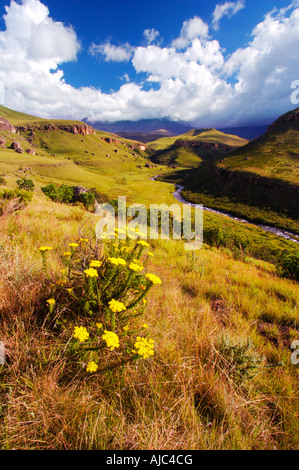 Malerische Aussicht des Bushmans River Valley Stockfoto