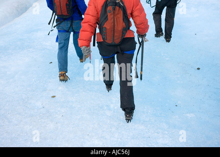 Rückansicht des Touristen auf Grey Gletscher wandern Stockfoto