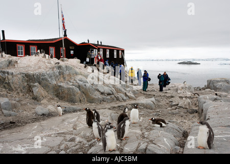 Reflexion-Touristen und Gentoo (Pygoscelis Papua) Pinguinkolonie auf der Base A Stockfoto