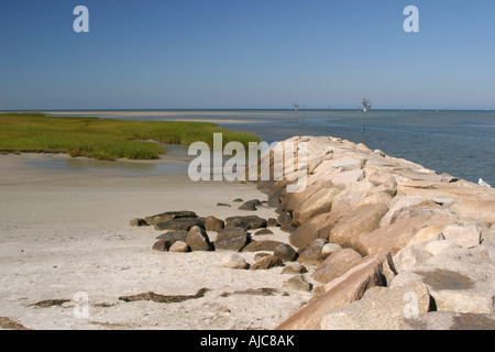 Cape Cod September 2007 Stockfoto