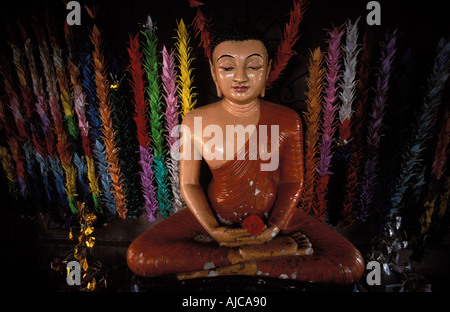 Statue von Buddha befindet sich unter einem Bodhi Baum Pipal Ficus Religiosa in Sarnath Uttar Pradesh, Indien Stockfoto