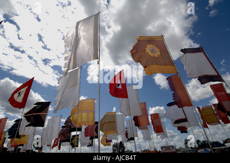 Die Flaggen wehen auf dem Annial WOMAD Festival in Wiltshire Stockfoto