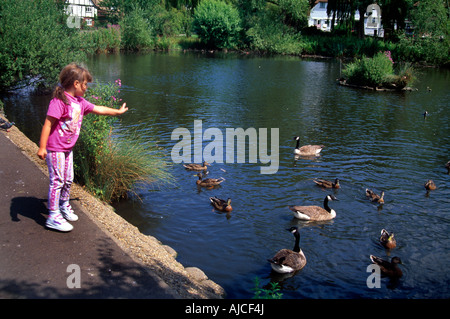 5 Jahre altes Mädchen füttern Enten am Teich Bäume Stockfoto