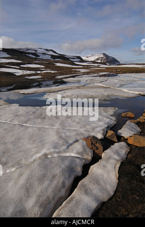 Teilweise noch gefroren Schmelzwasser Pool und den Berg Bjolfur im Bereich von Fjardarheidi in der Nähe von Seydisfjordur East Island Stockfoto