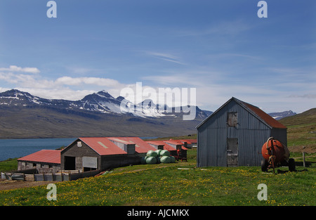 Bauernhof am Ufer des Faskrudfjordur mit den fernen Bergen Kambfjall Osten Fjorde Region Ost-Island Stockfoto