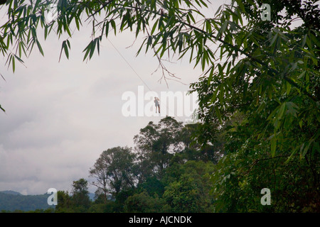 Mann hoch über den Baumkronen auf eine Seilrutsche bei The Gibbon Experience in der Nähe von Huay Xai auf dem Mekong River in der Nähe der thailändischen Grenze Laos Stockfoto