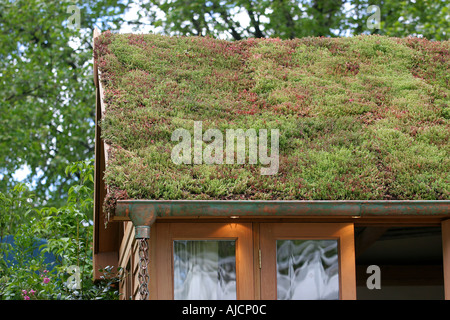 DIE WILDLIFE TRUSTS LUSH GARTEN DESIGNER STEPHEN HALL CHELSEA FLOWER SHOW 2005 Stockfoto